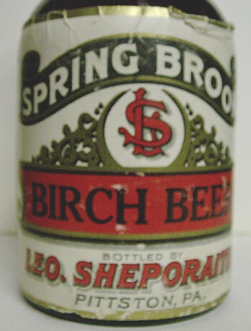 1910s Spring Brook Birch Beer Bottle   Pittston, PA  